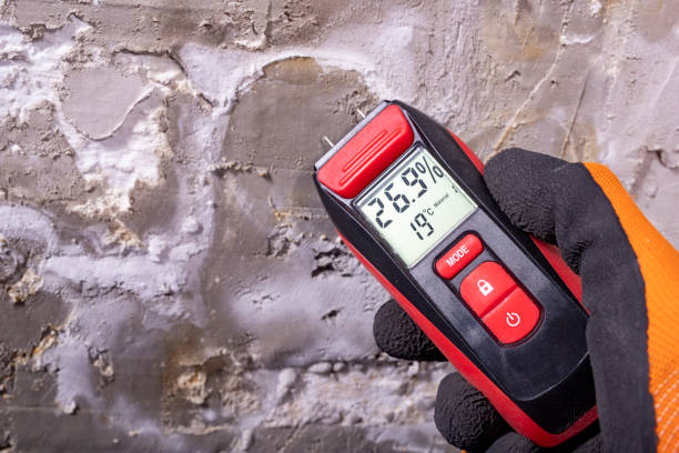 Best Commercial Mold Remediation in Washington Court House, OH