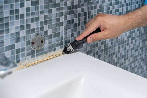 Best Basement Mold Remediation in Washington Court House, OH