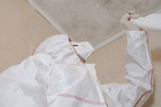 Best Preventive Mold Services in Washington Court House, OH